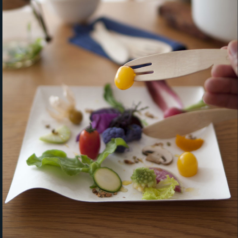 Wasara Kaku Plates